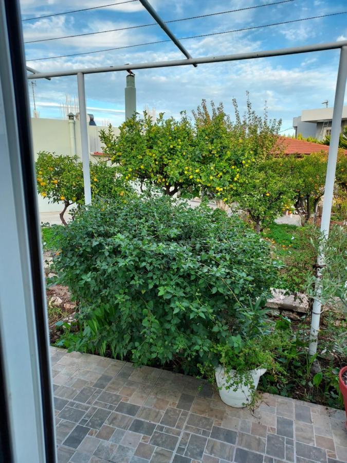 Anastasia'S Garden House Іялісос Екстер'єр фото