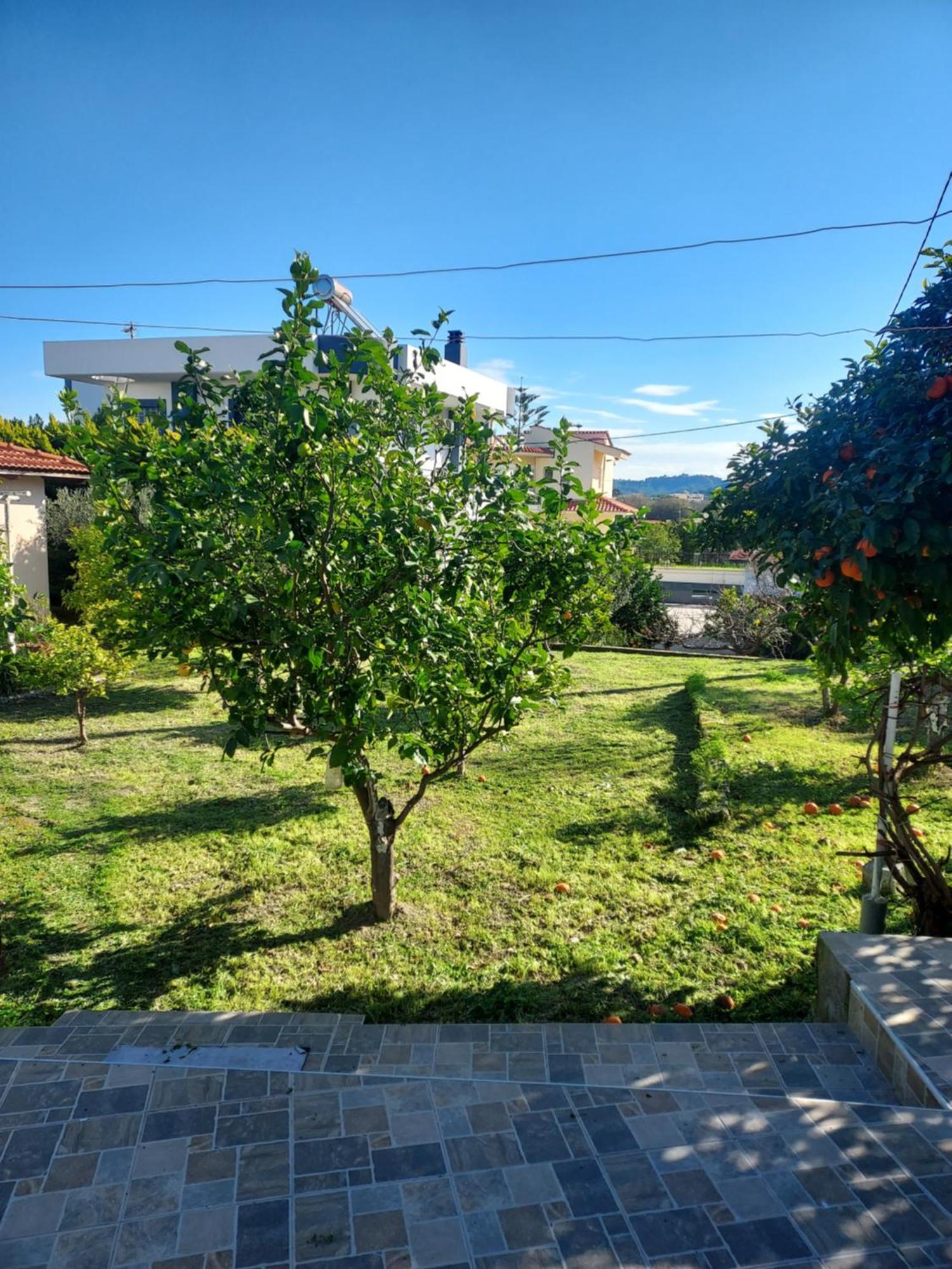 Anastasia'S Garden House Іялісос Екстер'єр фото